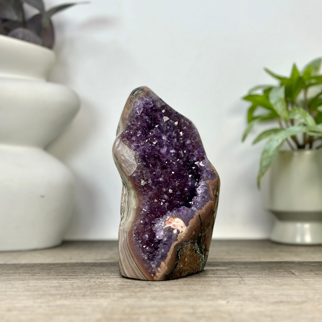 Amethyst-Geode in Sammlerqualität mit Kalzitformation und grüner Jaspis Schale