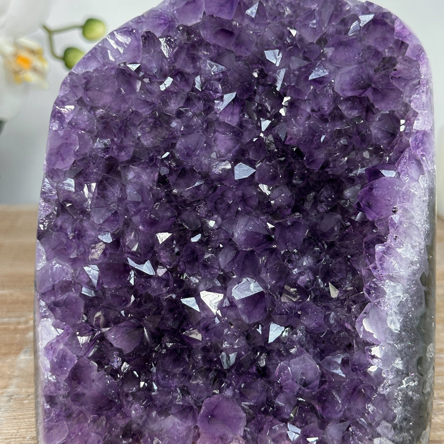 Amethyst-Druse mit skulptural gewachsener Kristallarchitektur