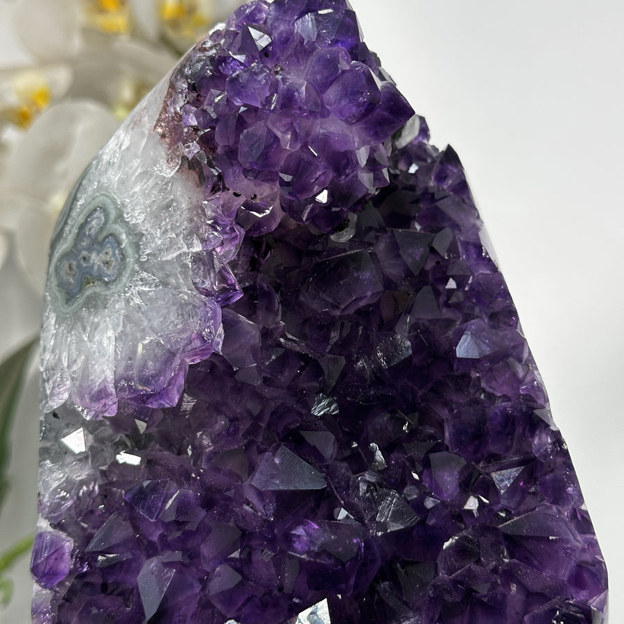 Amethyst-Cluster groß mit stark lichtreflektierenden Kristallspitzen