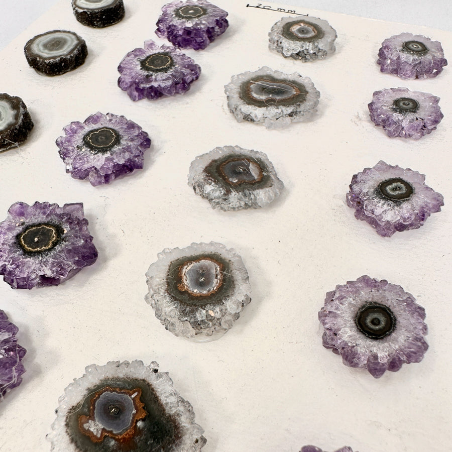 Amethyst-Stalaktiten-Scheiben mit radialer Kristallstruktur und violetter Farbzone
