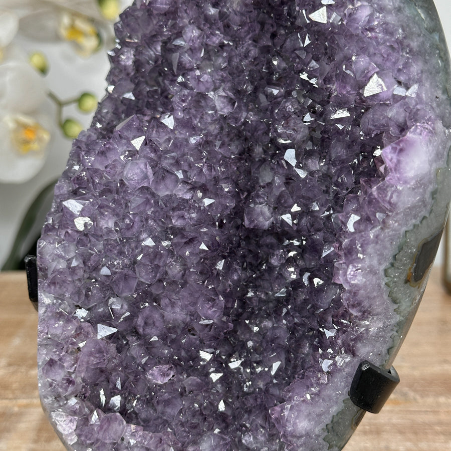 Amethyst-Kristallcluster mit dicht gewachsener Spitzenzone, in ausgewählter Spitzenqualität