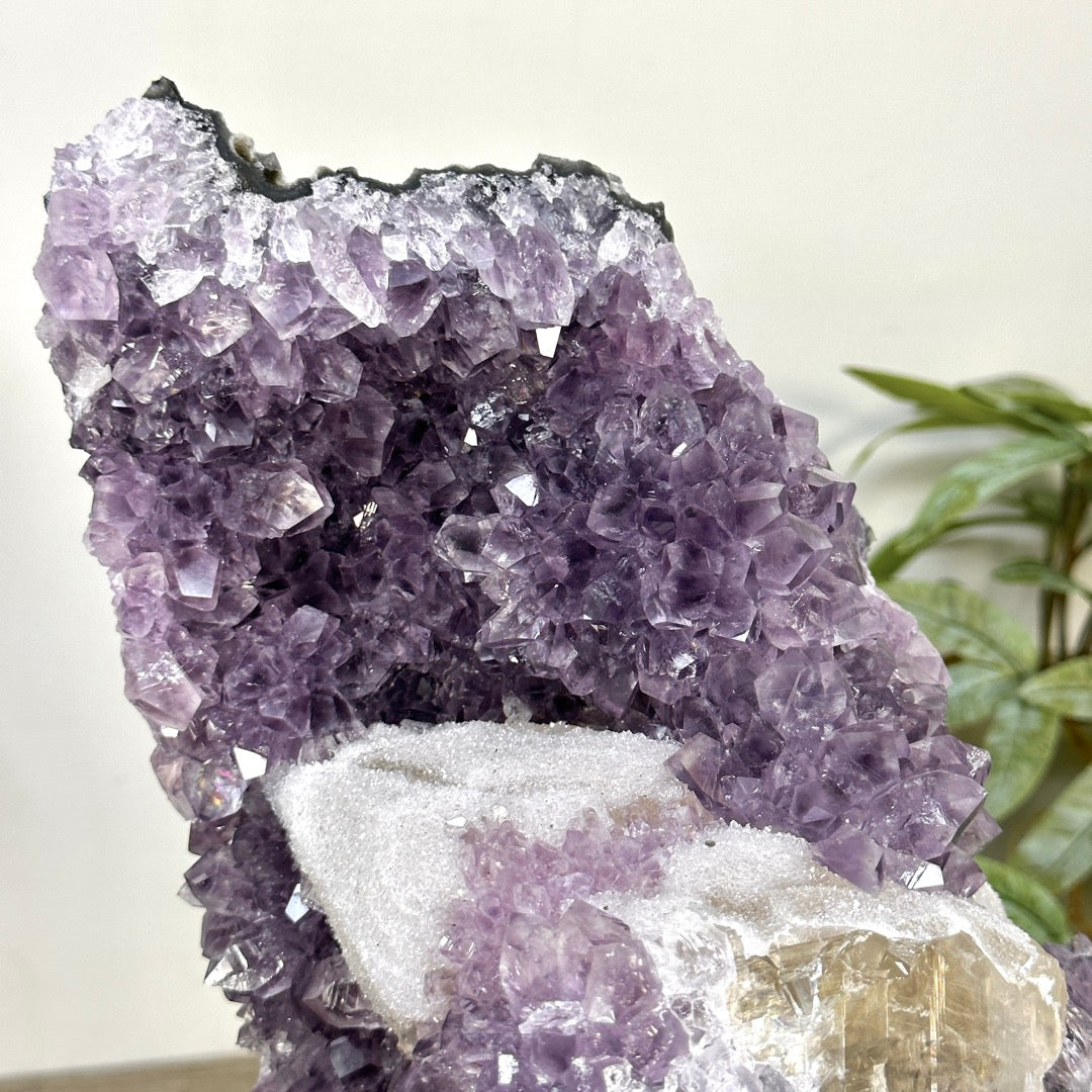 Amethyst-Kathedrale mit dichter Zuckerkristall-Beschichtung und feiner Kalzitbildung