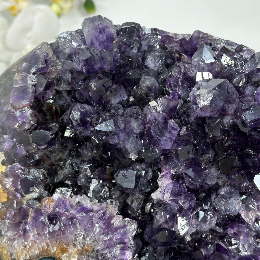 Amethyst-Kristallcluster mit frei gewachsener Spitzenzone