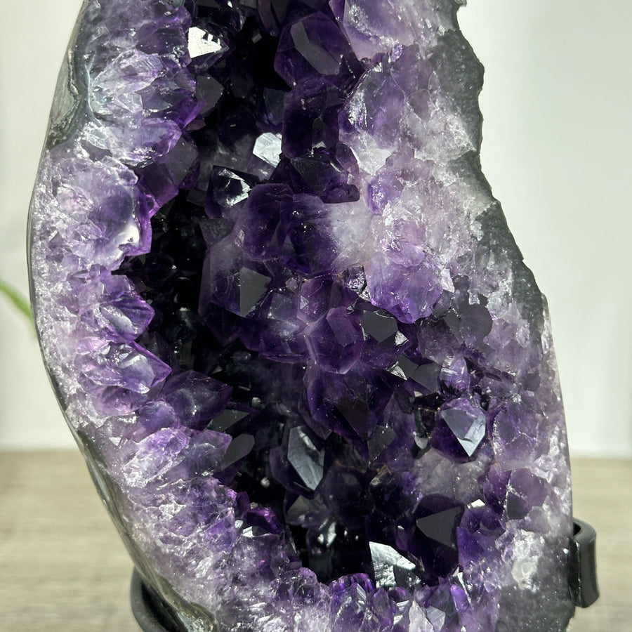 Amethyst-Geode mit dicht gewachsener, purpurfarbener Kristallstruktur