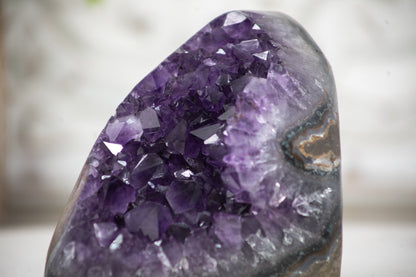 Amethyst-Druse mit dicht gewachsener, violetter Kristallstruktur