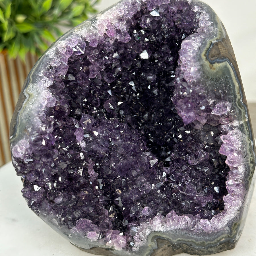 Amethyst-Geode mit geschnittener Standbasis und klarer Kristallstruktur