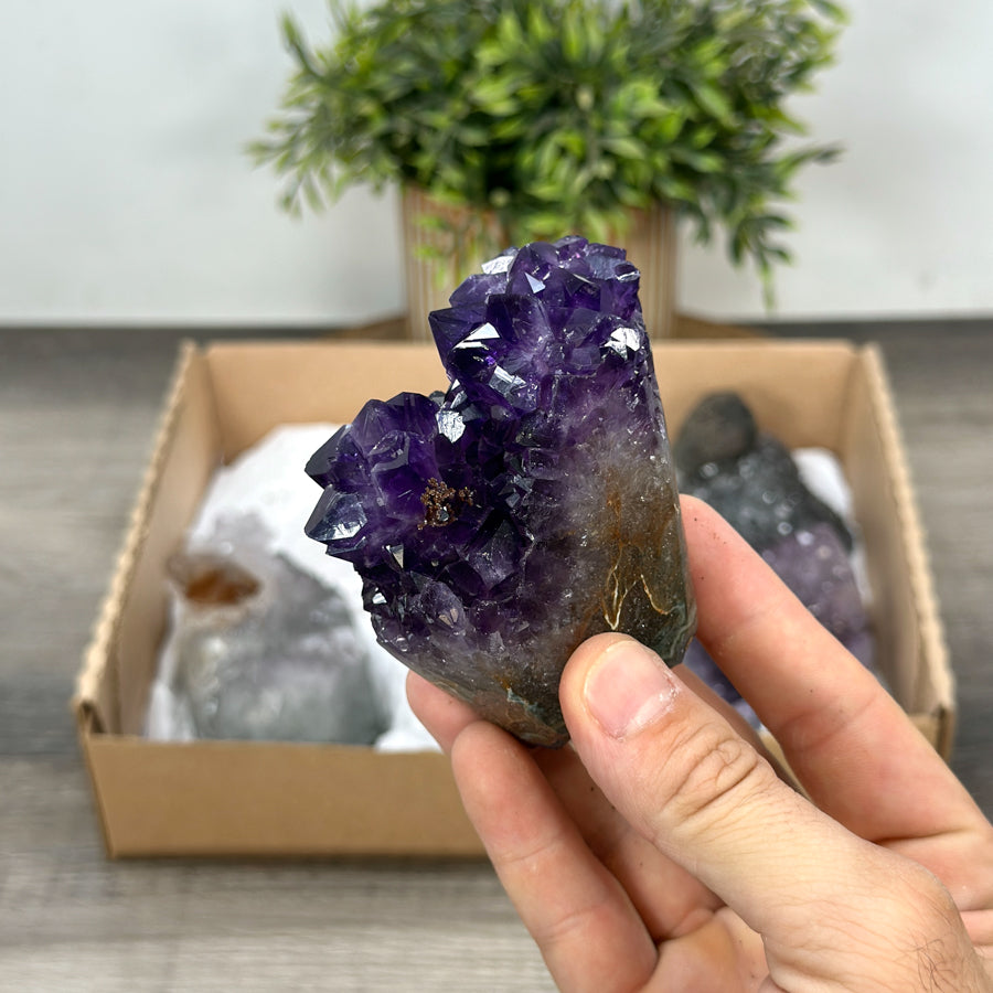 Mineralien-Ensemble mit klarer Kristallstruktur und homogener Ausbildung