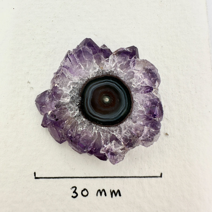 Stalaktiten-Scheiben mit natürlicher Mineralstruktur