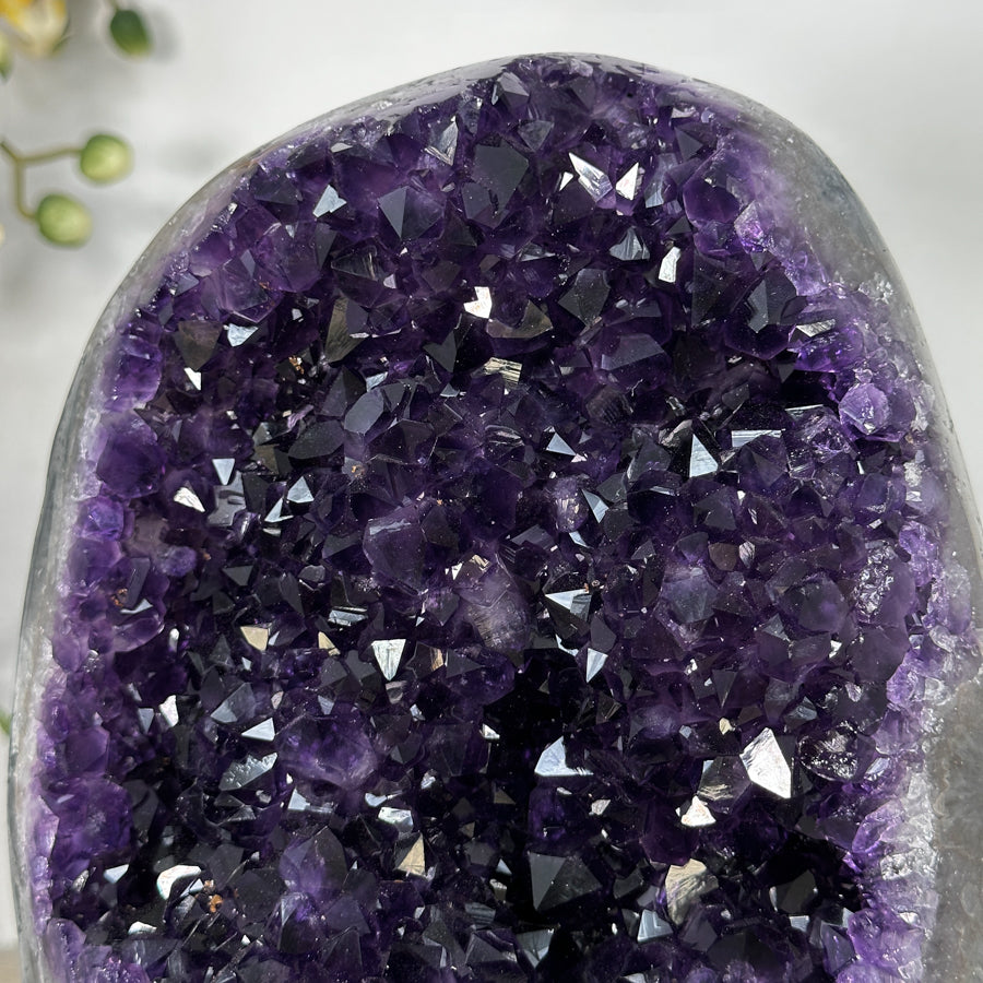 Amethyst-Geode groß mit samtig tiefvioletter Kristallarchitektur und kontrastreicher Achat-Schale