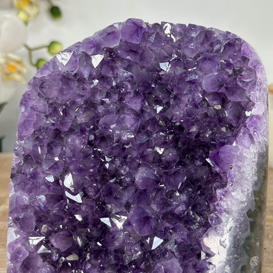 Amethyst-Druse mit skulptural gewachsener Kristallarchitektur