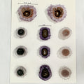 Amethyst-Quarz-Grünjaspis-Stalaktiten-Scheiben mit lebendiger Mineralstruktur