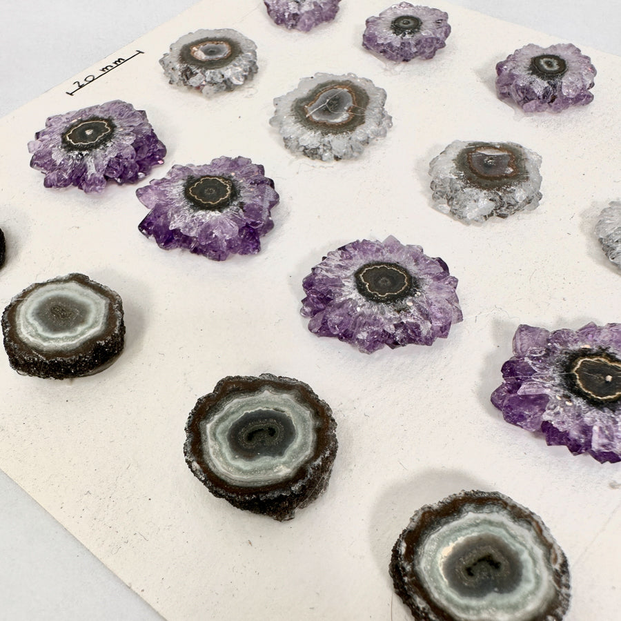 Amethyst-Stalaktiten-Scheiben mit radialer Kristallstruktur und violetter Farbzone