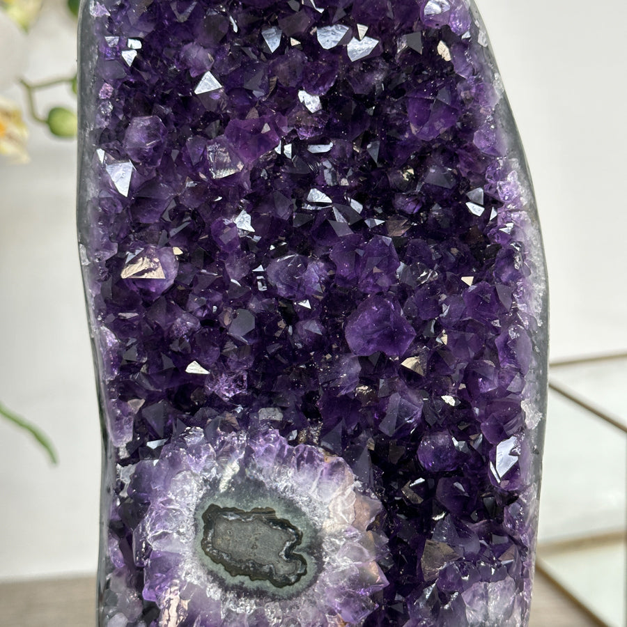 Amethyst-Cluster mit kompakter, massiv wirkender Kristallstruktur