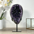 Amethyst-Geode mit offener, harmonischer Kristallarchitektur