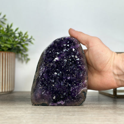 Amethyst-Druse mit dicht gewachsener Kristallfläche und violetten Kristallspitzen