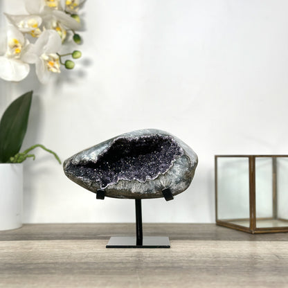 Amethyst-Druzy-Geode mit gleichmäßiger Kristallstruktur