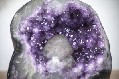 Amethyst-Geode mit plastisch hervorstechendem Kalzit-Kristall