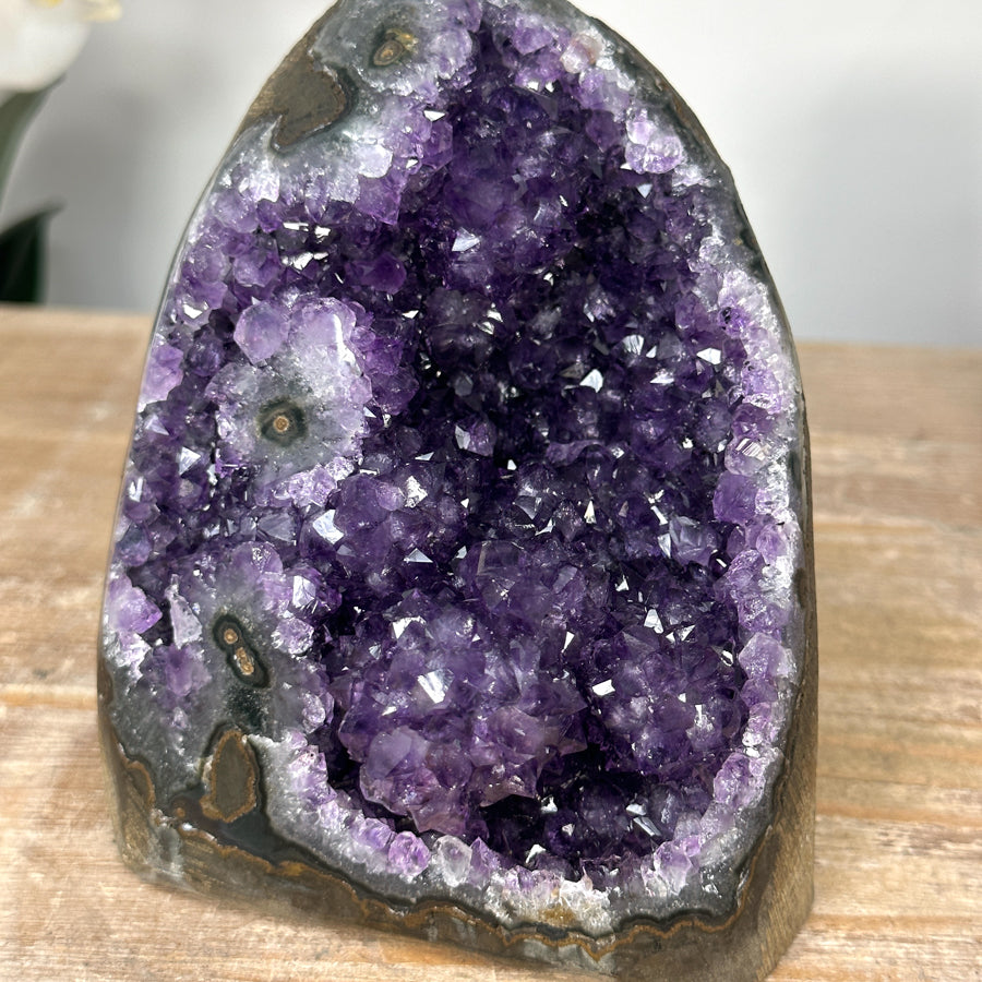 Amethyst-Druse mit stalaktitischer Kristallstruktur und tropfsteinartiger Innenarchitektur