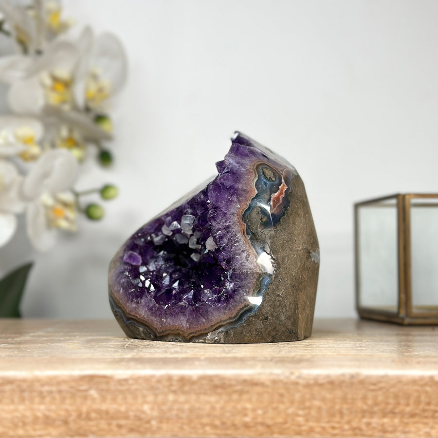 Amethyst-Geode mit polierter Randzone und kompakter Kristallstruktur