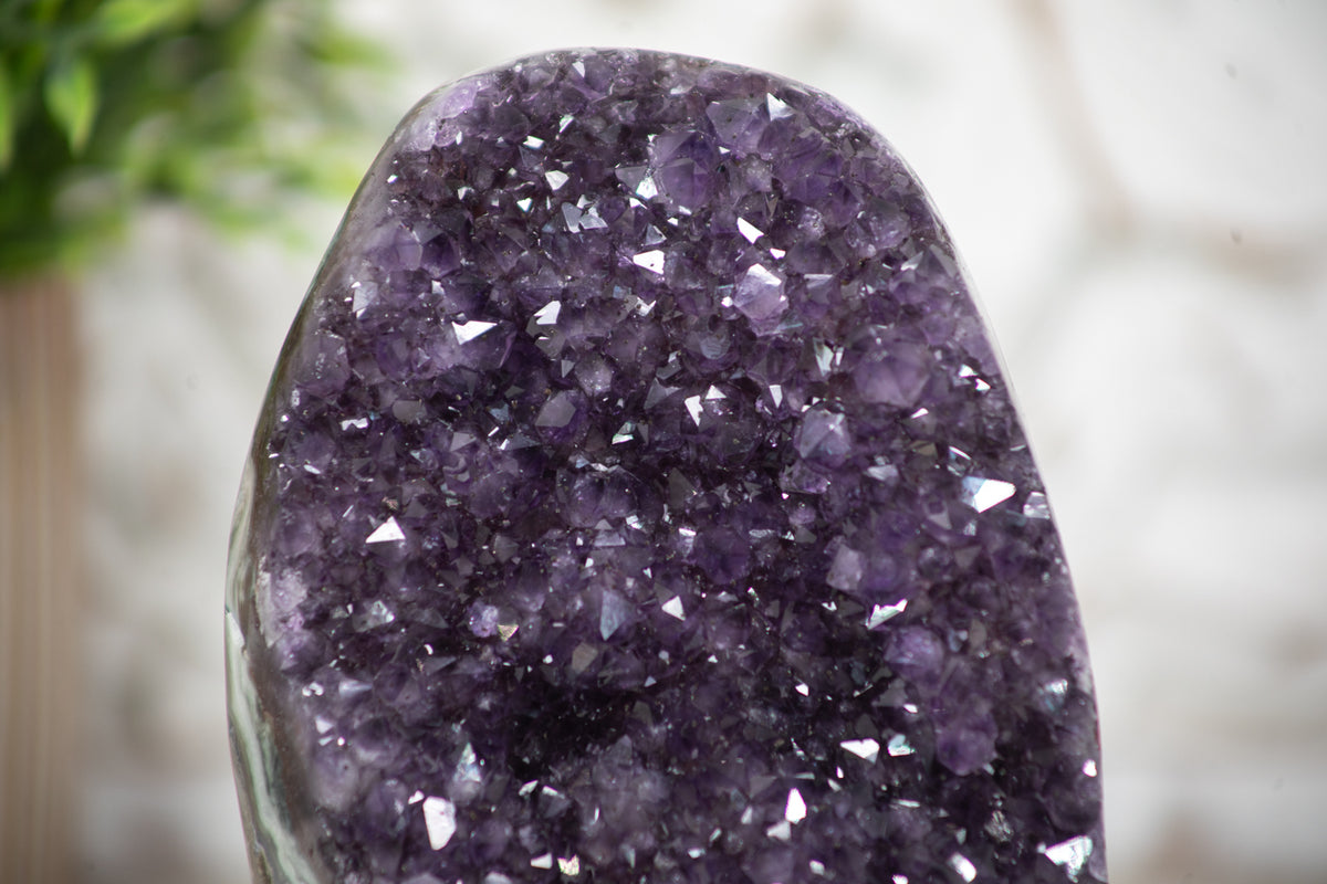 Amethyst-Druse mit tiefvioletter Kristallzone und grüner Jaspis-Matrix