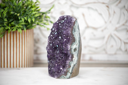 Amethyst-Druse mit tiefvioletter Kristallzone und grüner Jaspis-Matrix