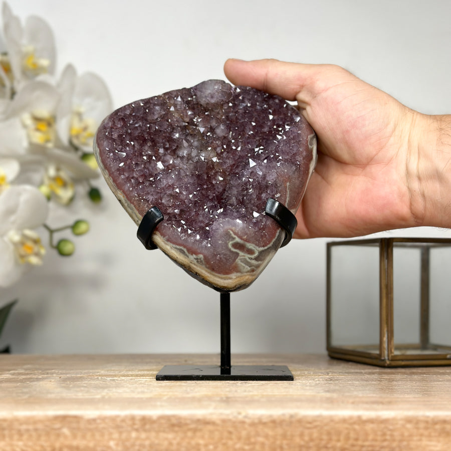 Amethyst-Cluster mit kontrastreicher Jaspis-Matrix