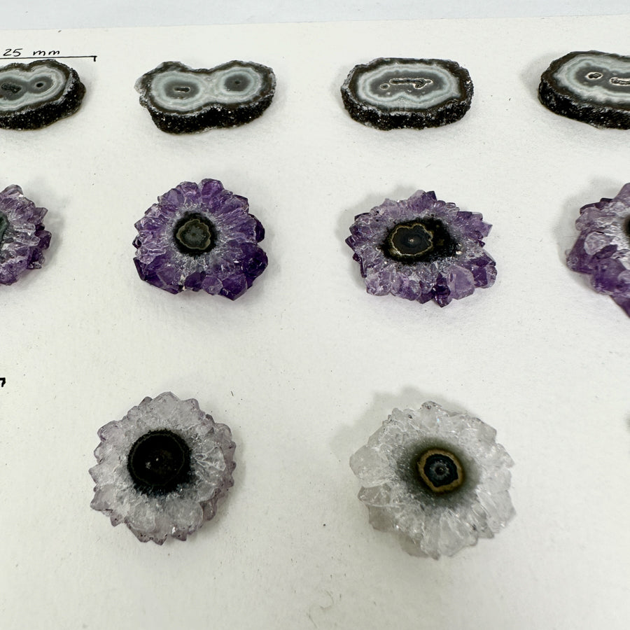 Amethyst-Grünjaspis-Stalaktiten-Scheiben mit farbintensiver Mineralstruktur
