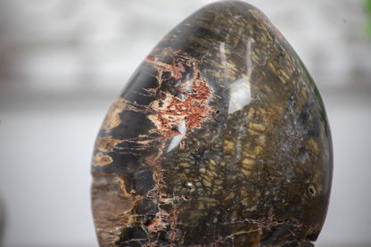 Versteinertes-Holz-Stein-Ei mit markanter fossiler Holzstruktur