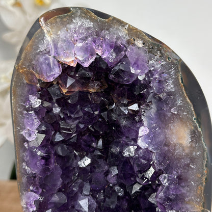 Amethyst-Geode mit Achat-Schale und strukturierter Kristallkammer