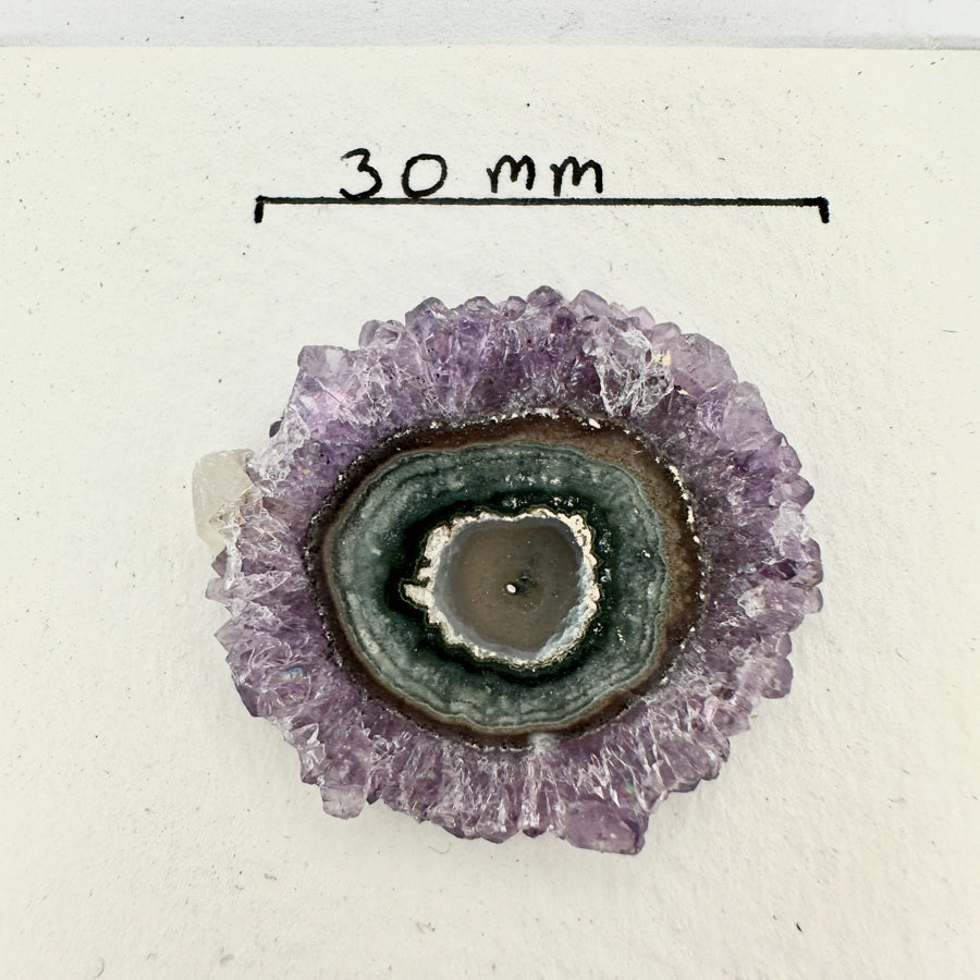 Amethyst-Quarz-Stalaktiten-Scheiben mit klarer Kristallbänderung