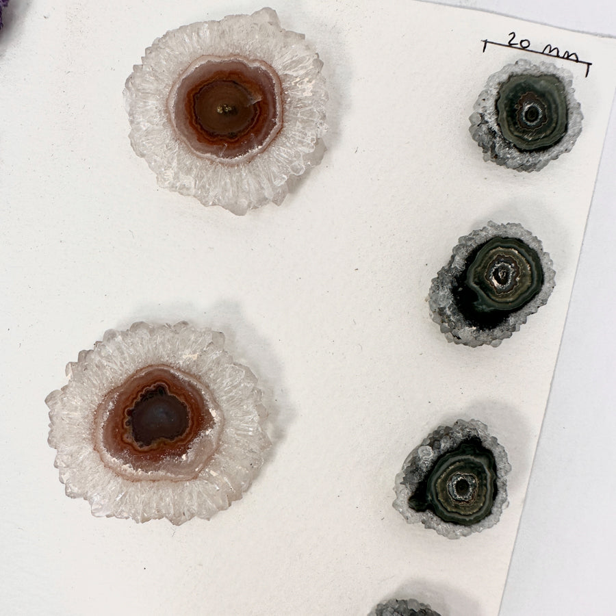 Quarz-Amethyst-Achat-Grünjaspis-Stalaktiten-Scheiben mit natürlicher Mineralbänderung