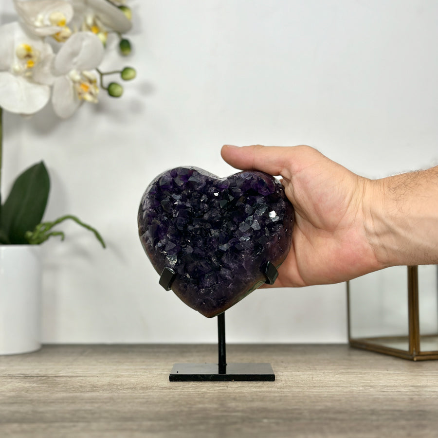 Amethyst-Kristallherz mit intensiv schattierter, dunkelvioletter Kristallzone