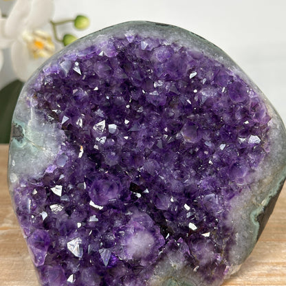 Amethyst-Druse mit tiefvioletter Druzy-Struktur und dichter Kristallbildung