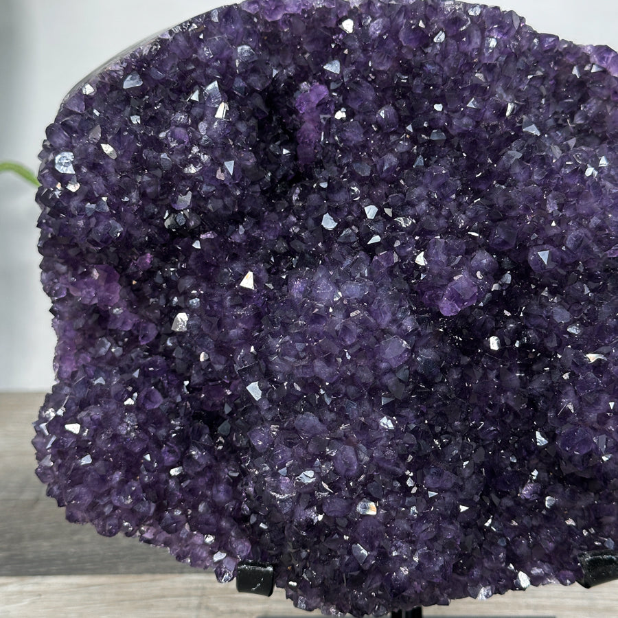 Amethyst-Cluster mit dicht gewachsener, tiefvioletter Kristallstruktur, in exklusiver Premiumqualität
