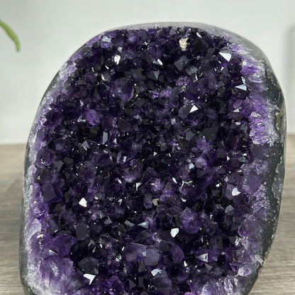 Amethyst-Druse mit klar definierter, architektonischer Kristallkammer