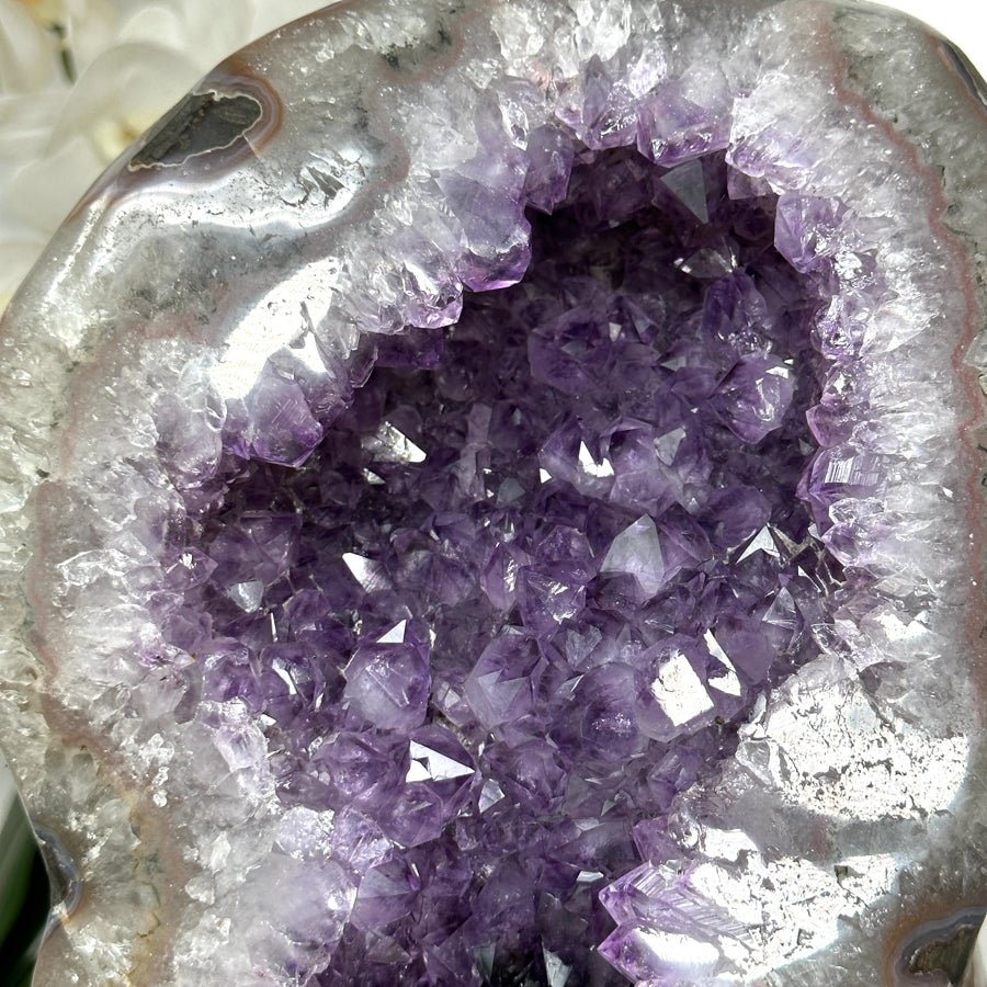 Amethyst-Geode XL mit beeindruckend ausgebildeter Kristallkammer