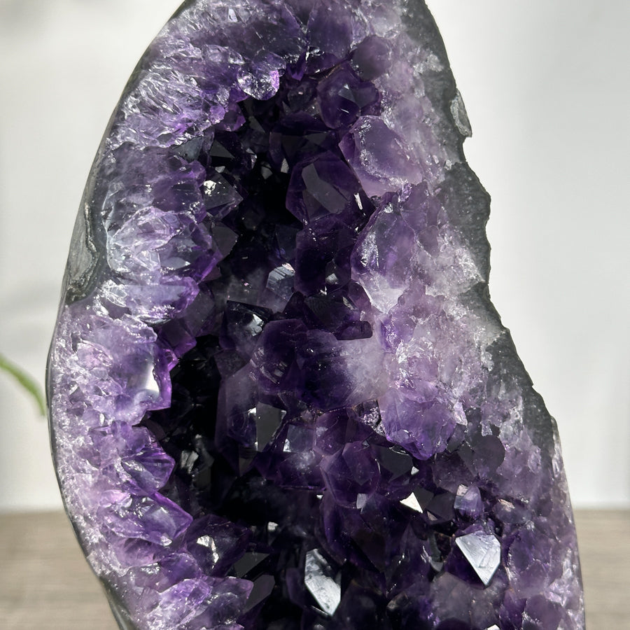 Amethyst-Geode mit dicht gewachsener, purpurfarbener Kristallstruktur