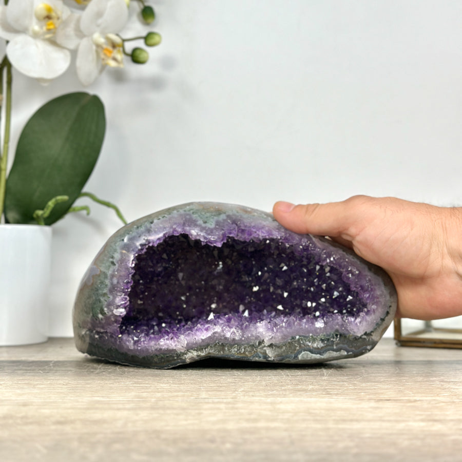 Amethyst-Geode mit feiner Druzy-Kristallauskleidung