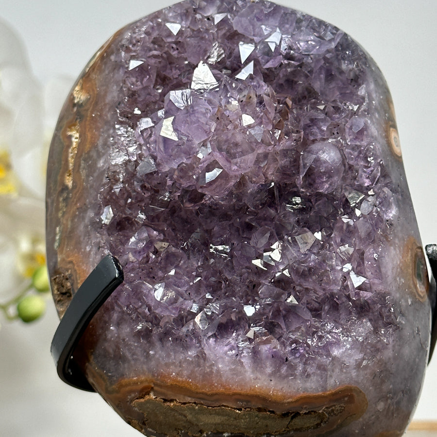 Amethyst-Kristallcluster mit plastischer Kristallarchitektur