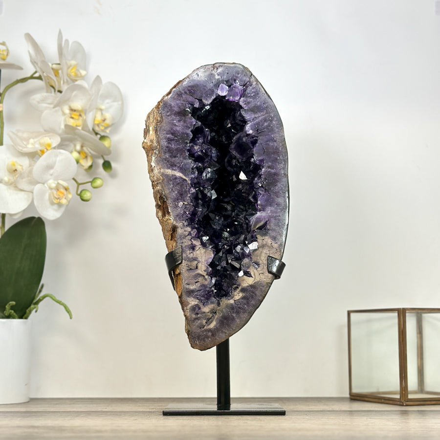 Hohe, vertikal gewachsene Amethyst-Geode aus Uruguay in Form einer Kristallhöhle mit tiefvioletten Kristallspitzen auf dunklem Untergrund.
