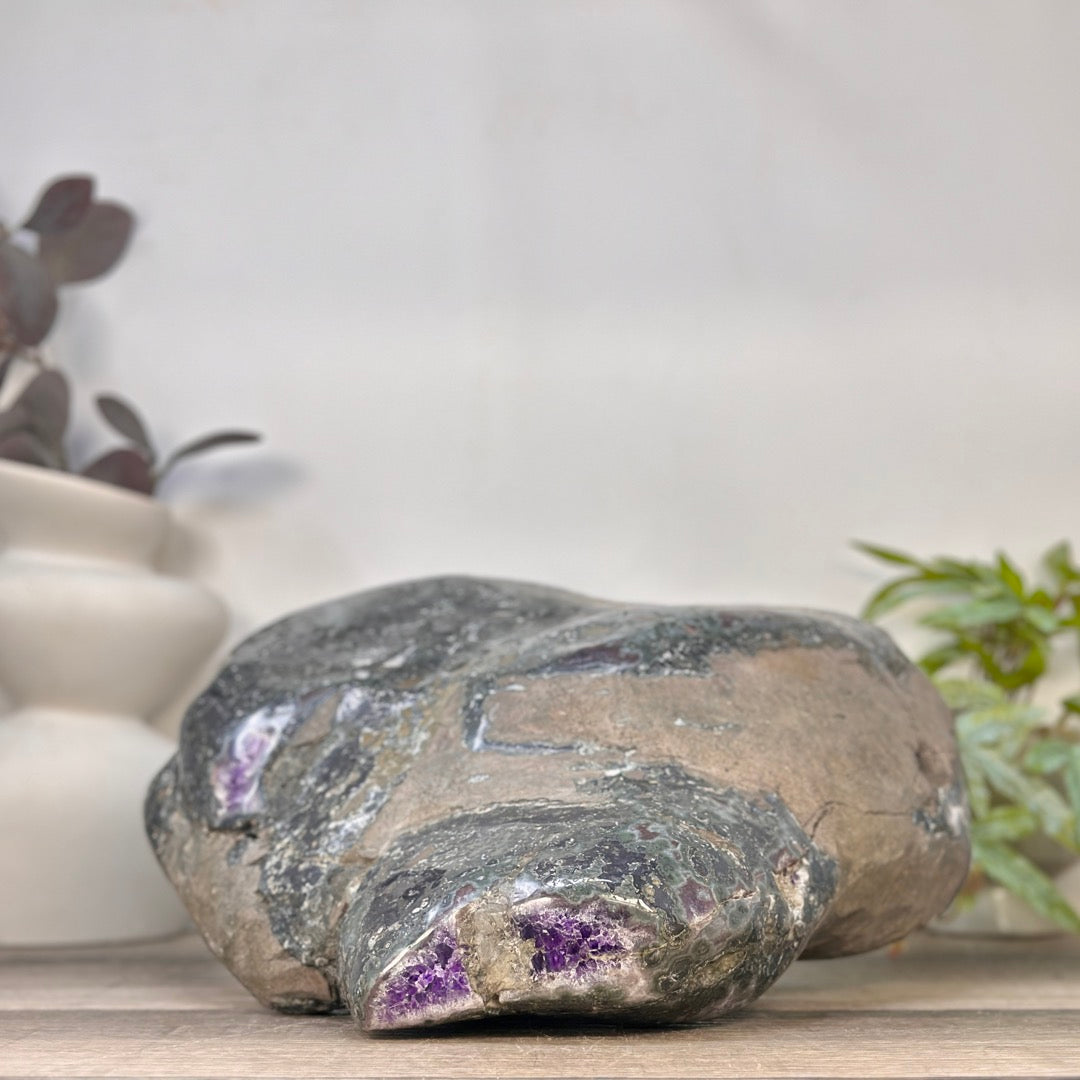 Rückseite der grauen Amethyst-Geode aus Uruguay mit einem markanten, intensiv violetten Kristall-Durchbruch an der unteren Gesteinsbasis.

