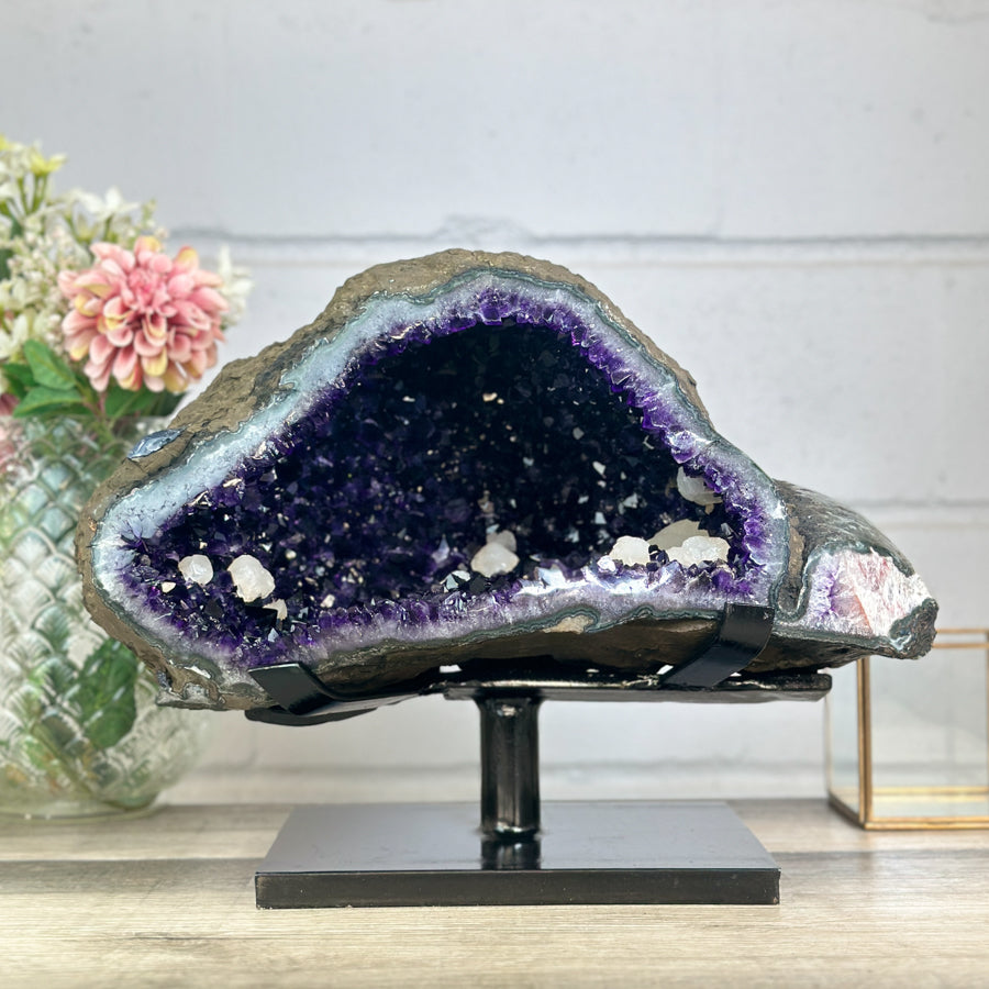 Massive Top-Grade Amethyst-Geode aus Uruguay mit weit geöffneter Kammer und tiefvioletten, intensiv funkelnden Kristallspitzen auf dunklem Untergrund.
