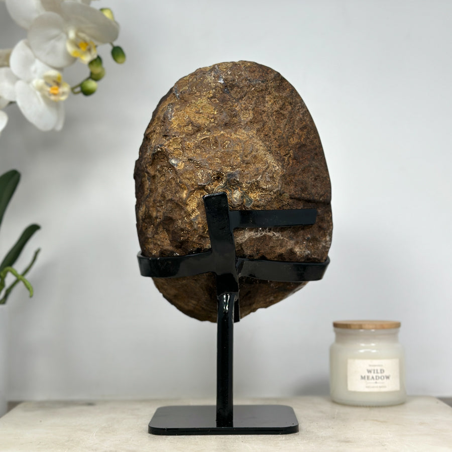 Amethyst-Quarz-Geode mit harmonischer Kristallverwachsung