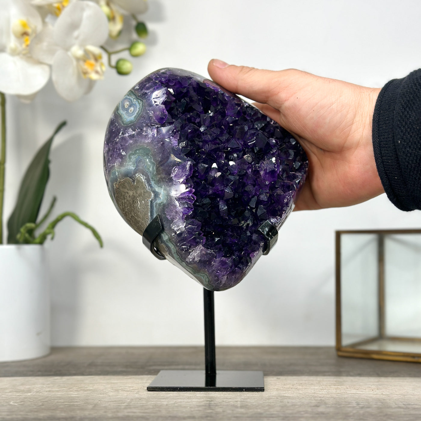 Amethyst-Geode mit klarer, lichtreflektierender Kristallstruktur