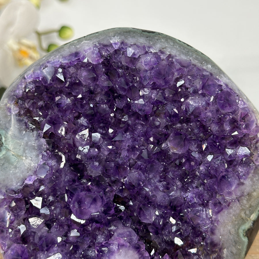 Amethyst-Druse mit tiefvioletter Druzy-Struktur und dichter Kristallbildung