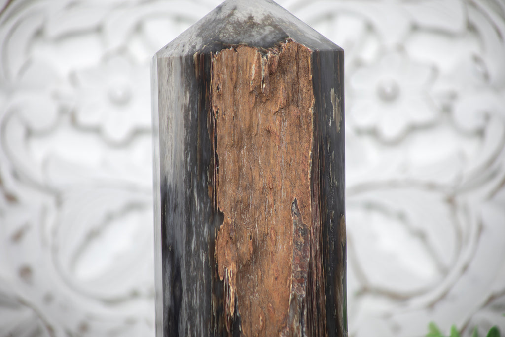 Stunning Large Petrified Wood Obelisk - TLSTP0042