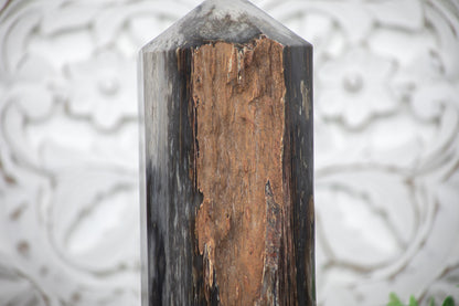Stunning Large Petrified Wood Obelisk - TLSTP0042