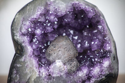 Amethyst-Geode mit plastisch hervorstechendem Kalzit-Kristall