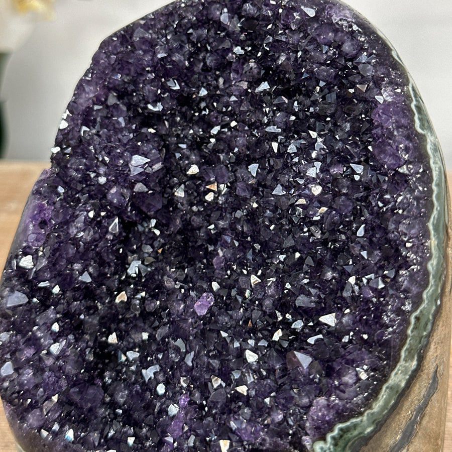 Amethyst-Druse mit kompakter Kristallstruktur und gleichmäßiger Ausrichtung
