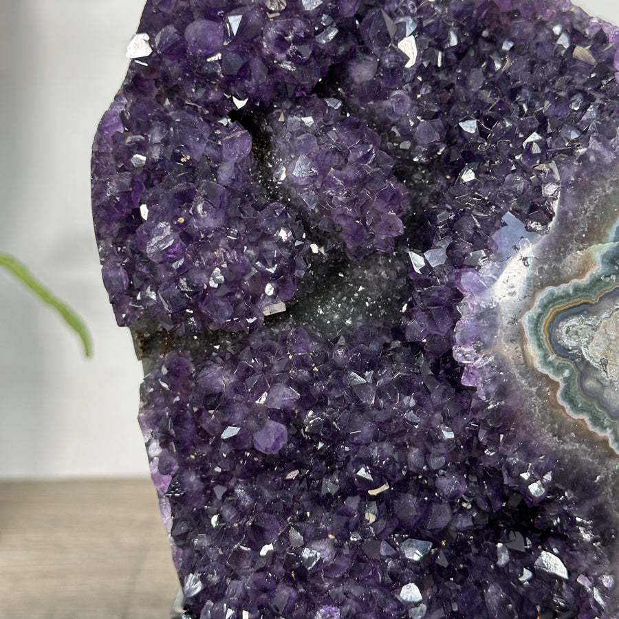 Amethyst-Cluster mit naturbelassener, dicht verwachsener Kristallstruktur